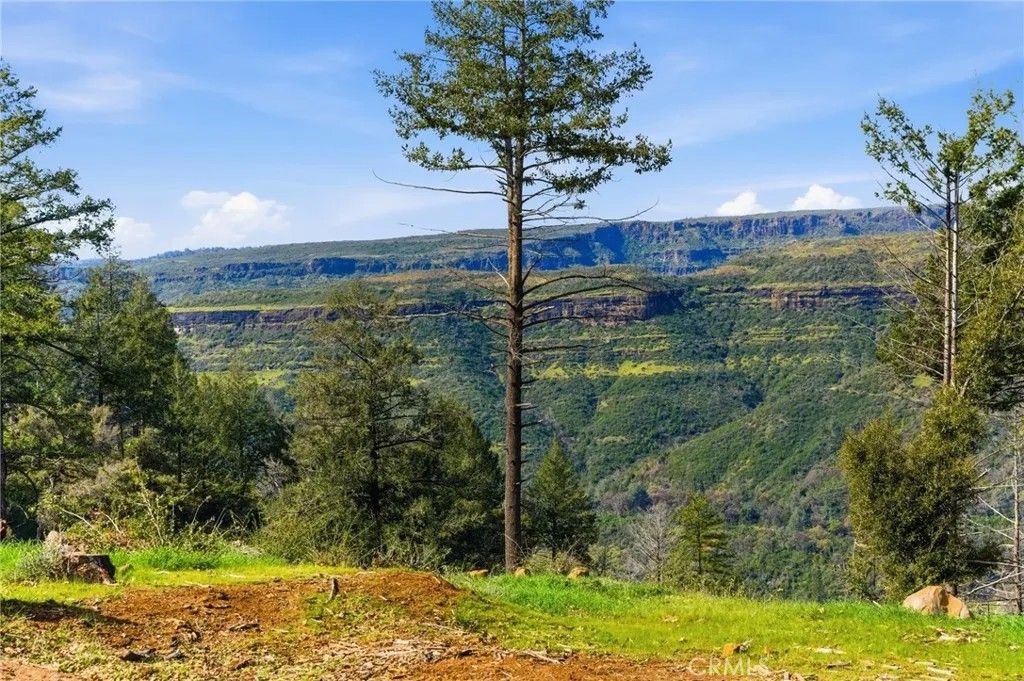 Photo of 6473 Gregory Ln, Paradise, CA 95969 (MLS # SN26045517)