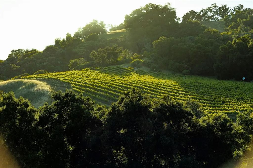 Photo of 0 Adelaida Road, Paso Robles, CA 93446 (MLS # NS26008474)