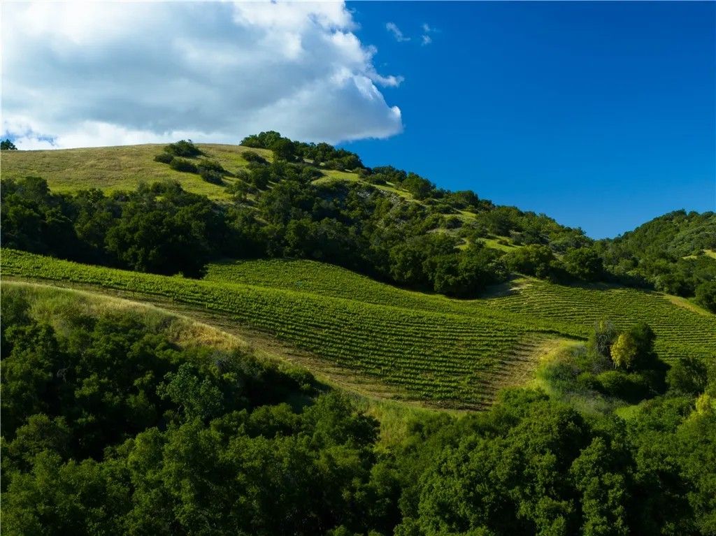 Photo of 0 Adelaida Road, Paso Robles, CA 93446 (MLS # NS26008474)