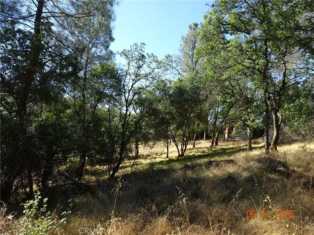 0 Fernwood