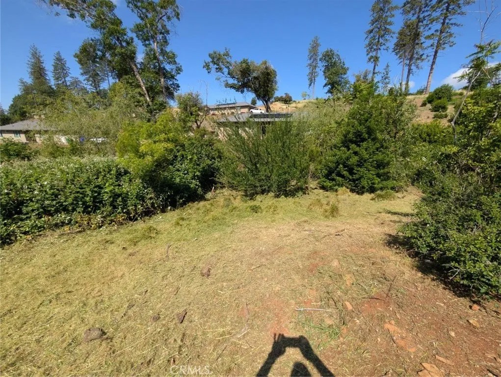 5887 Oakmore