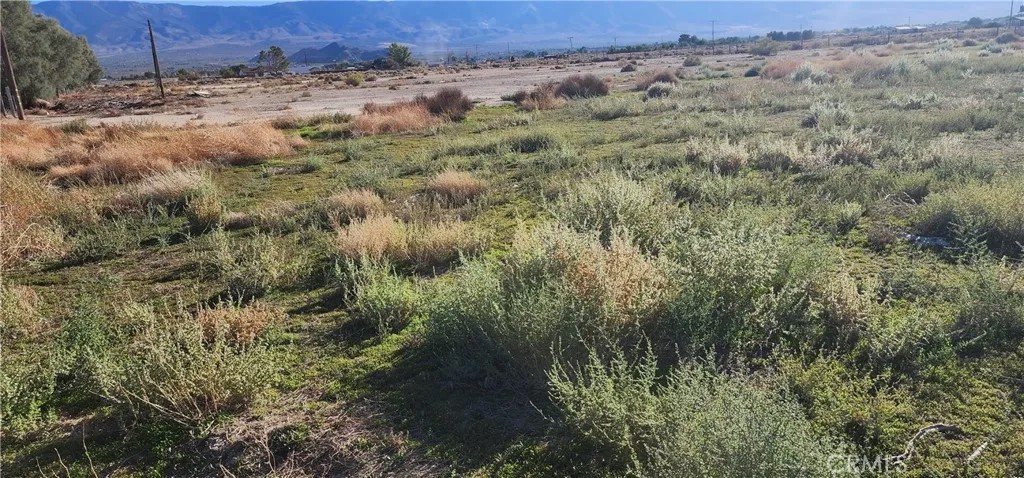 0 Rabbit Springs