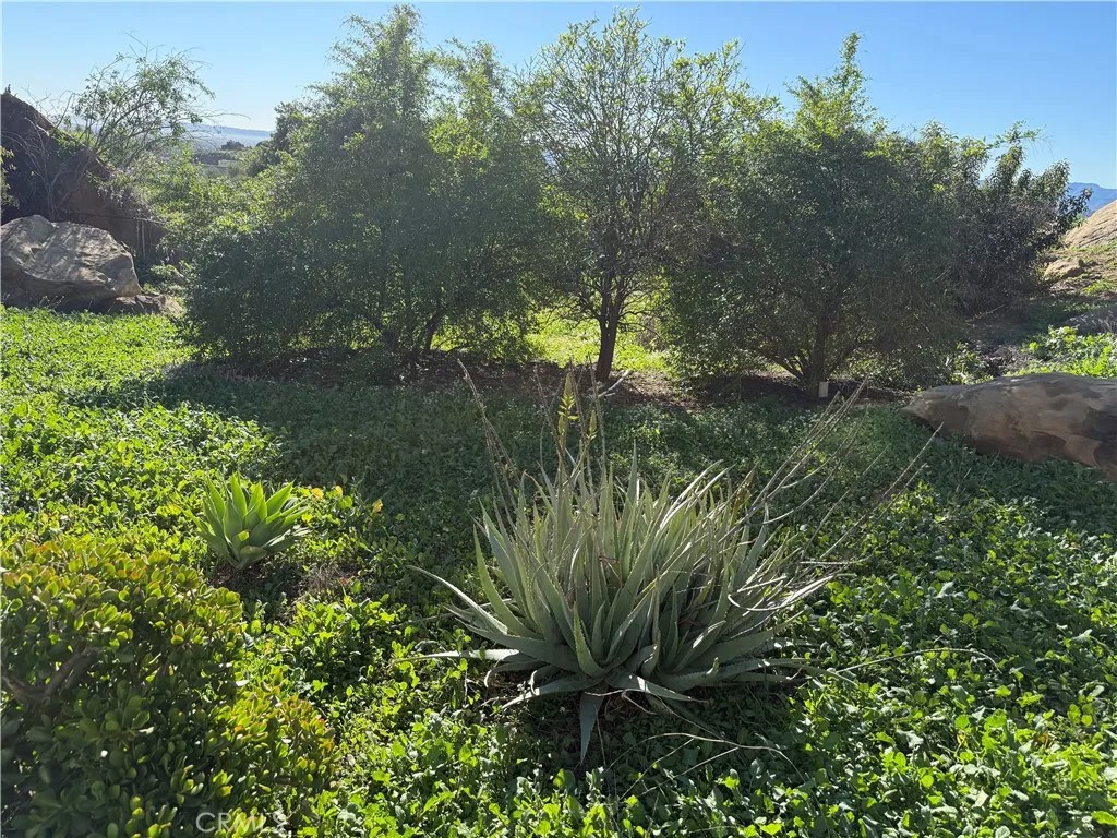 21776 MOJAVE TRAIL