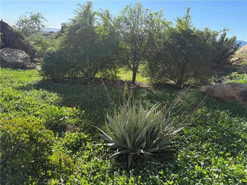 21776 MOJAVE TRAIL