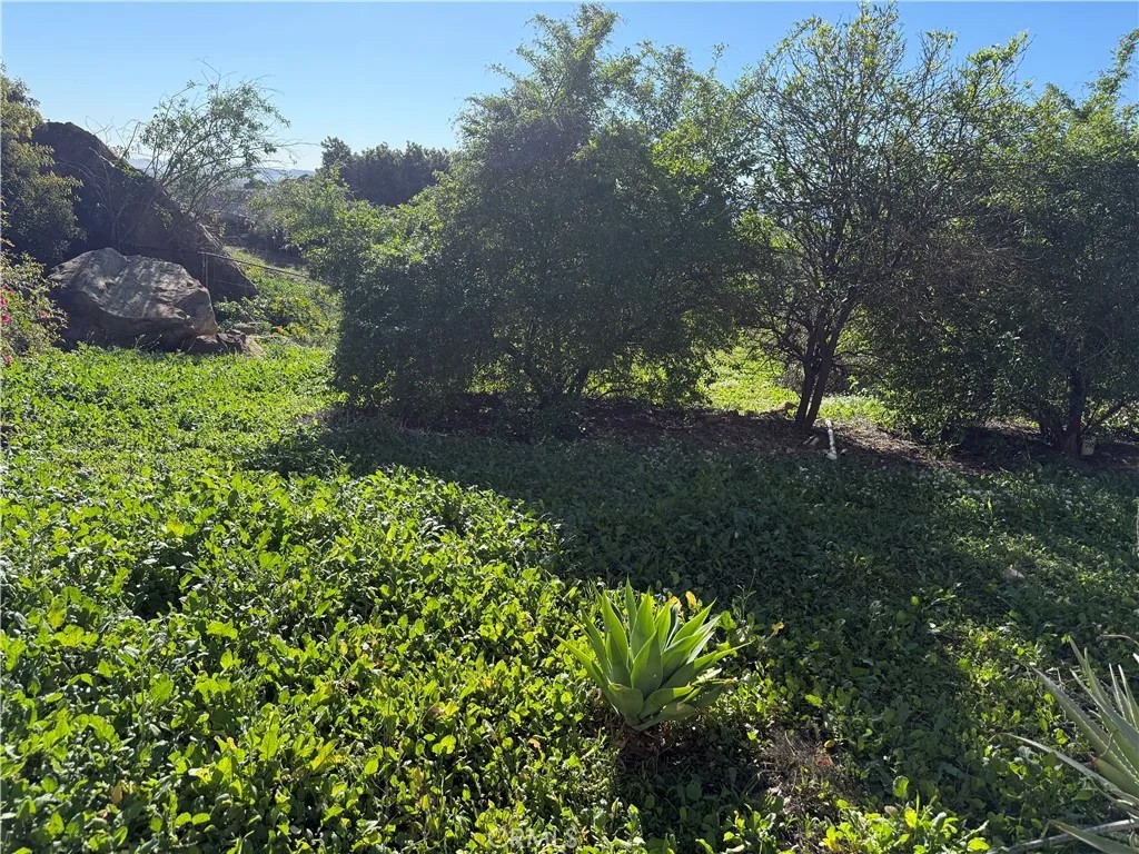 21776 MOJAVE TRAIL
