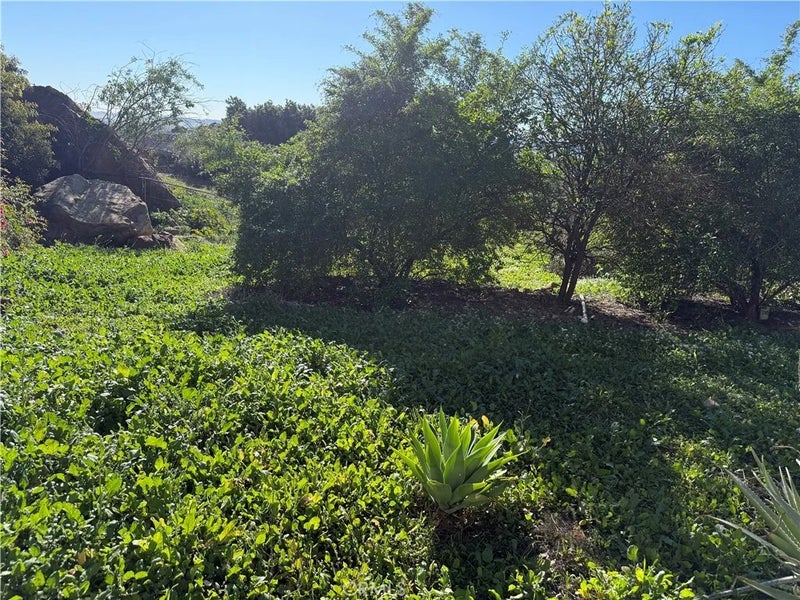 21776 MOJAVE TRAIL