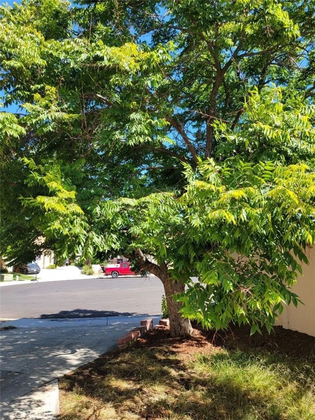Photo of 39897 Verono Corte, Murrieta, CA 92562 (MLS # SW25162018)