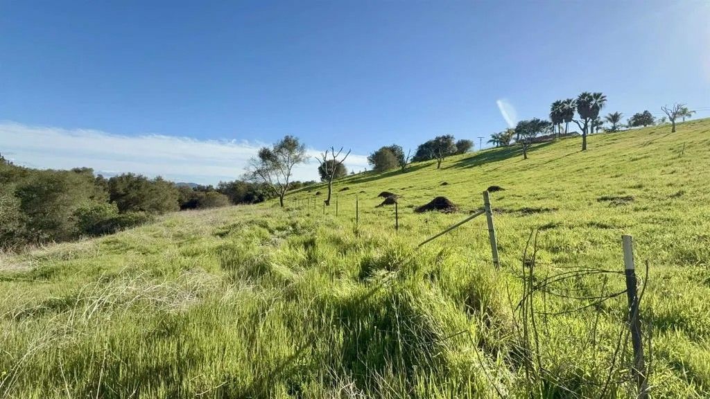 Photo of 0 Palomar, Fallbrook, CA 92028 (MLS # NDP2601763)
