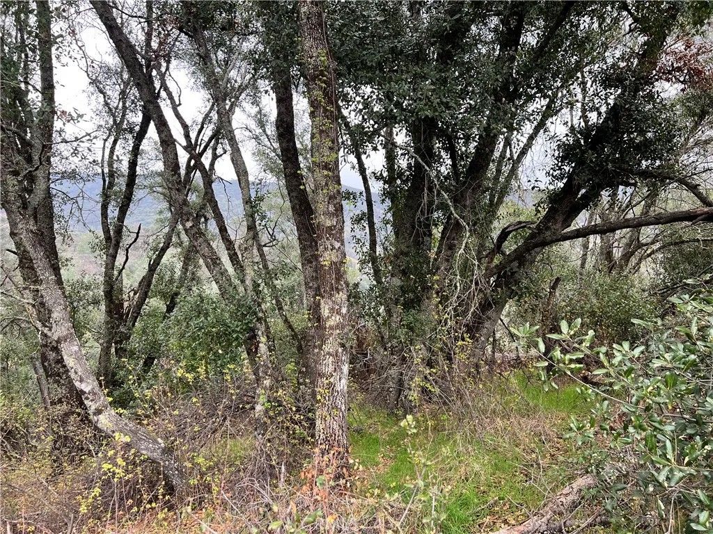 Photo of 7166 Butte Ct, Nice, CA 95464 (MLS # LC26032278)