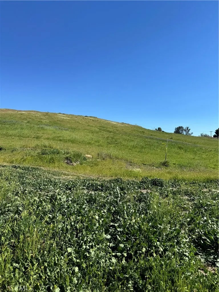 0 Vacant Land