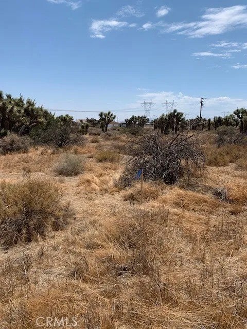 0 Tumbleweed
