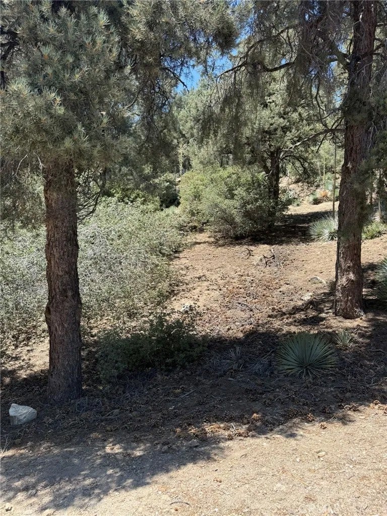 2413 Cedarwood