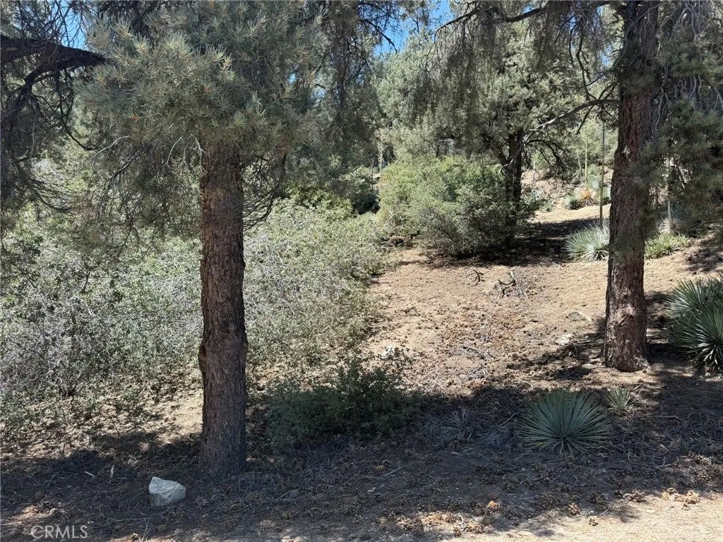 Photo of 2413 Cedarwood, Pine Mountain Club, CA 93222 (MLS # SR26186320)