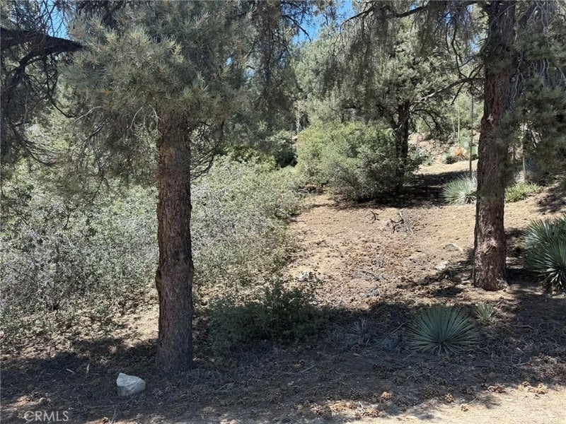 2413 Cedarwood