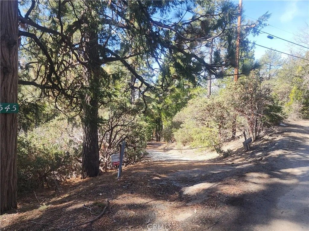 Photo of 52547 Pine Cove, Idyllwild, CA 92549 (MLS # CV26109822)