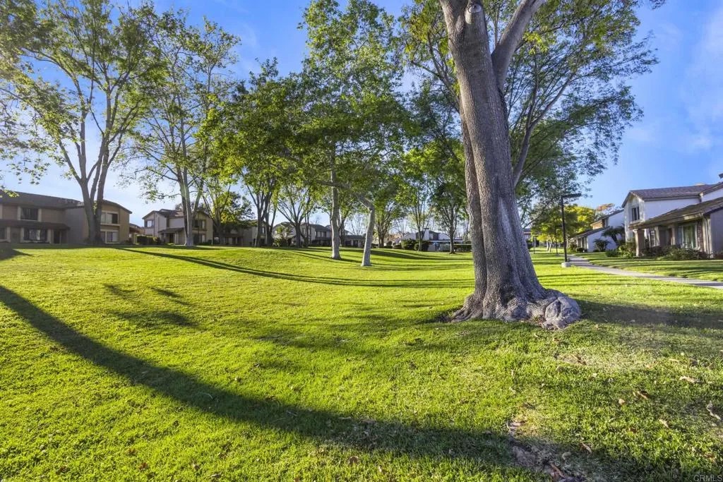 5389 Caminito Velasquez