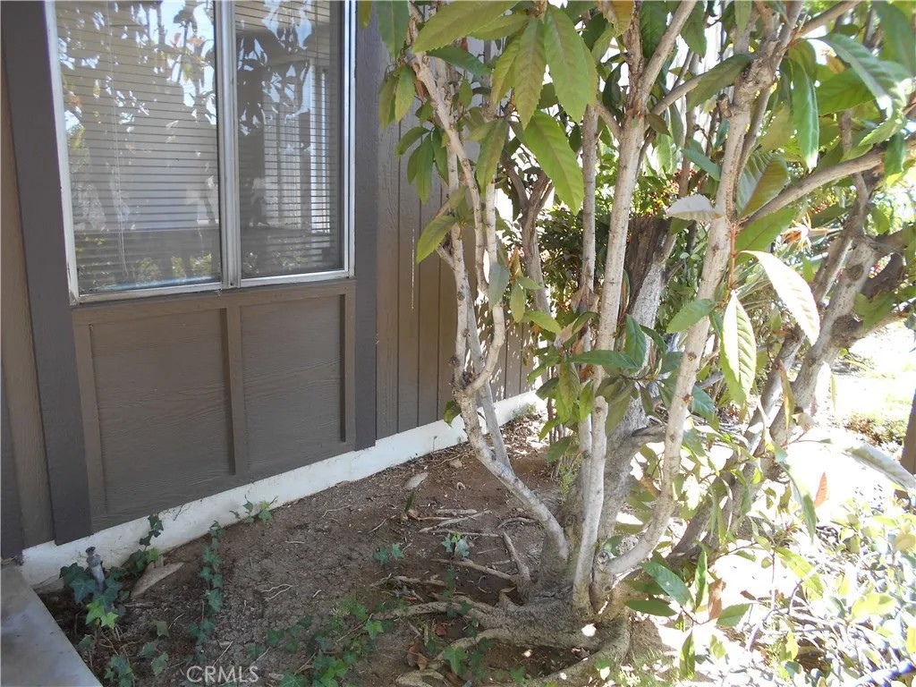 1251 Bonnie Glen
