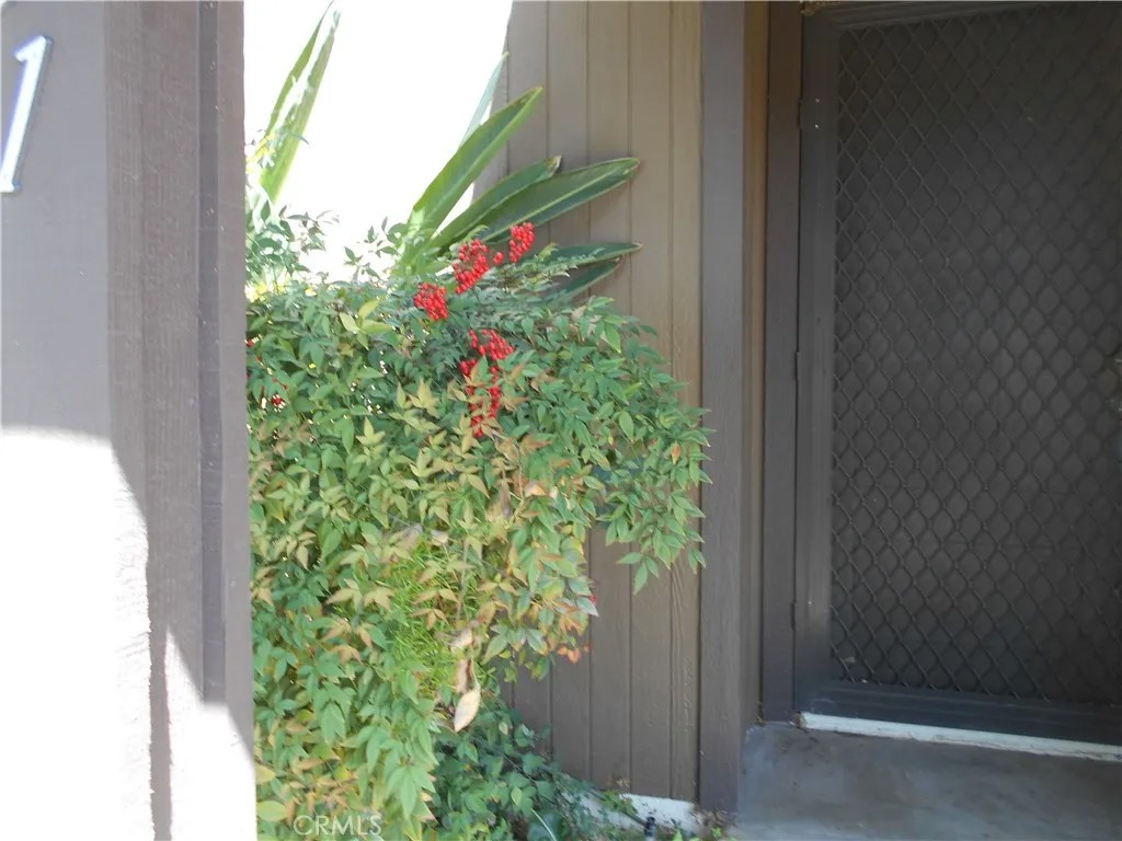 1251 Bonnie Glen