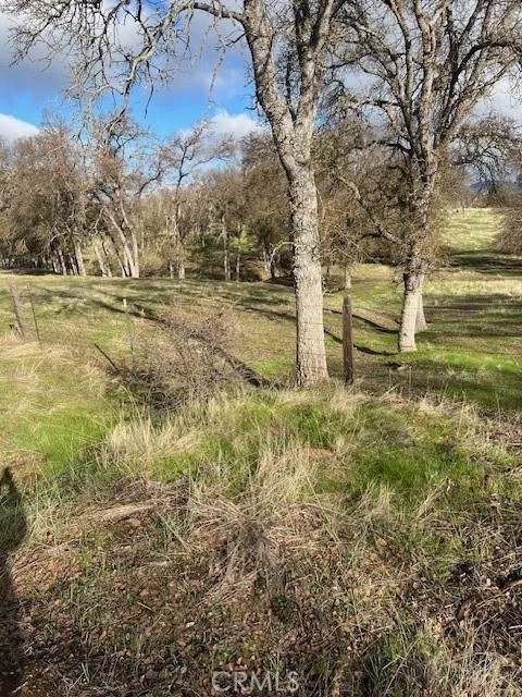 0 Bobcat Ct