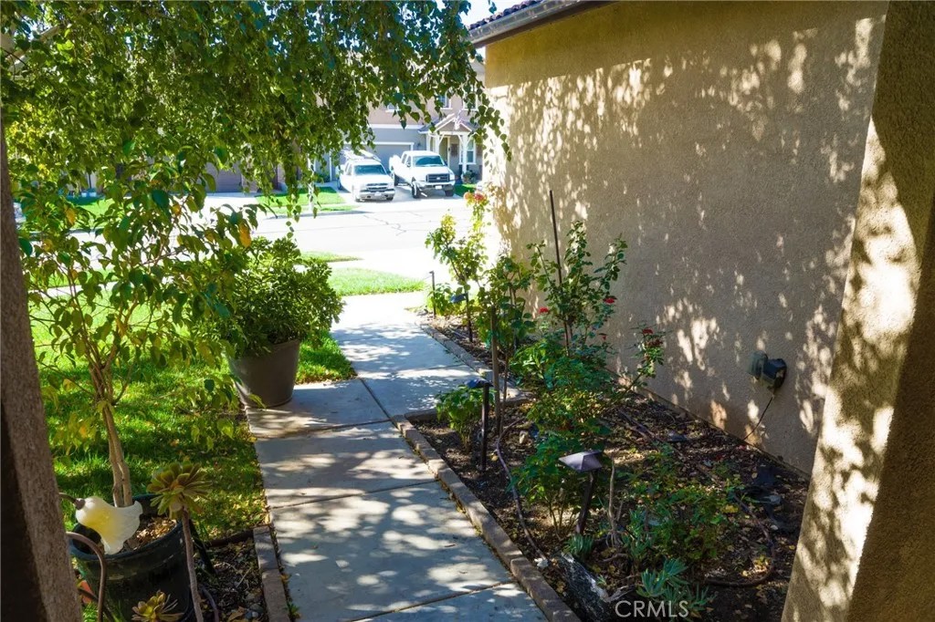 3864 American Elm Road