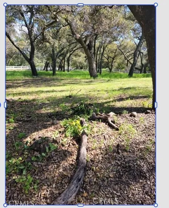 19411 Live Oak Canyon