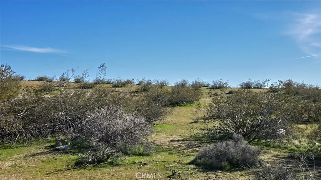 0 Near United St & Barrington Ave