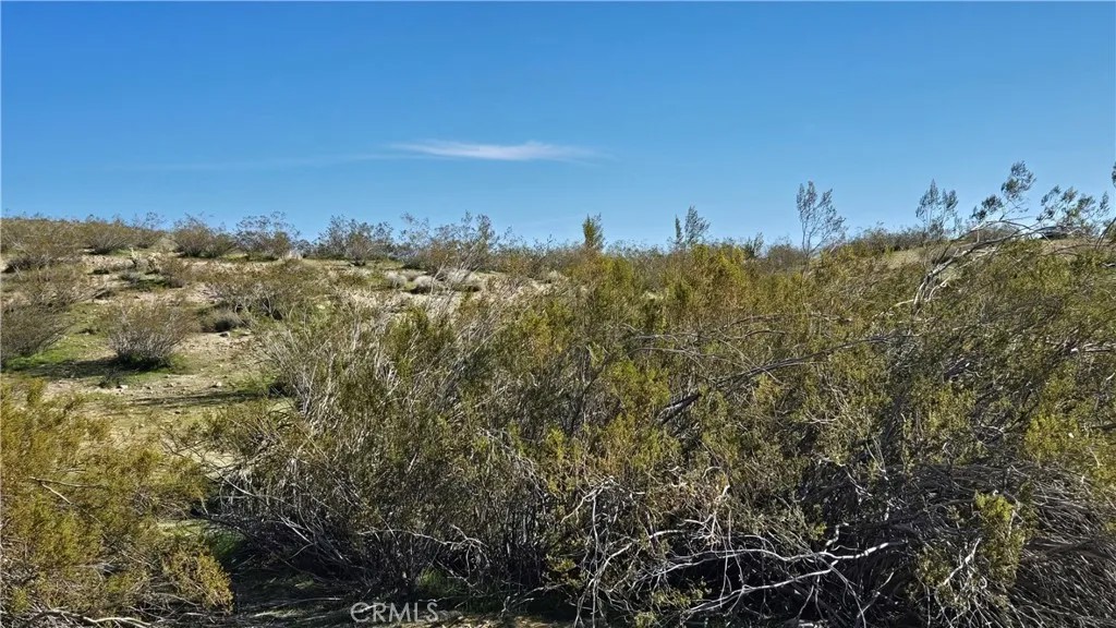 0 Near United St & Barrington Ave