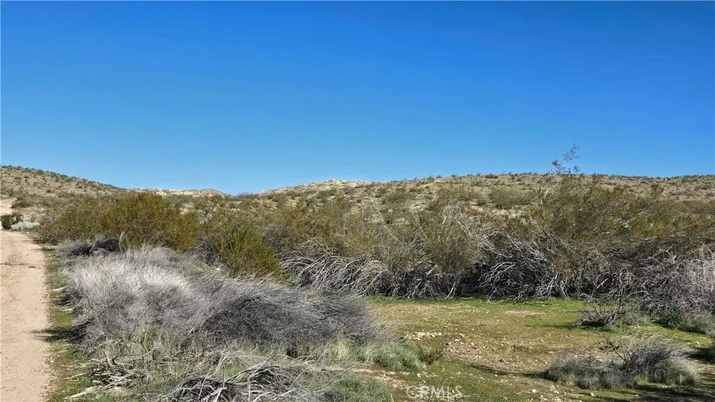 Photo of 0 Near United St &amp; Barrington Ave, Rosamond, CA 93560 (MLS # SR26011395)