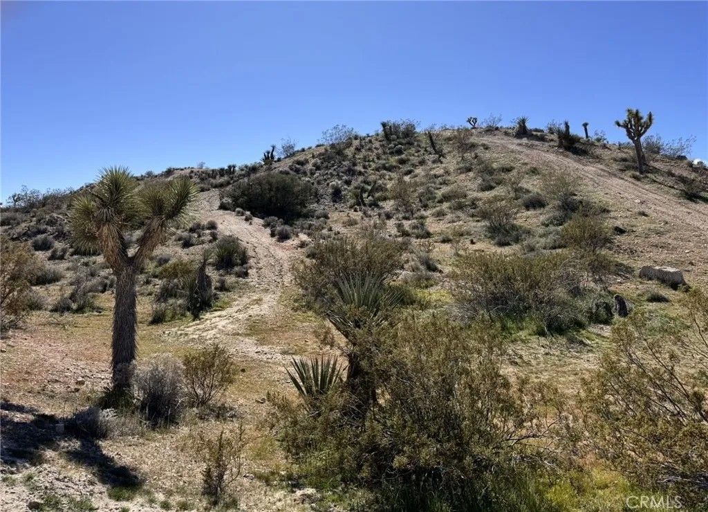 Photo of 0 Hilton, Yucca Valley, CA 92284 (MLS # IV25239042)