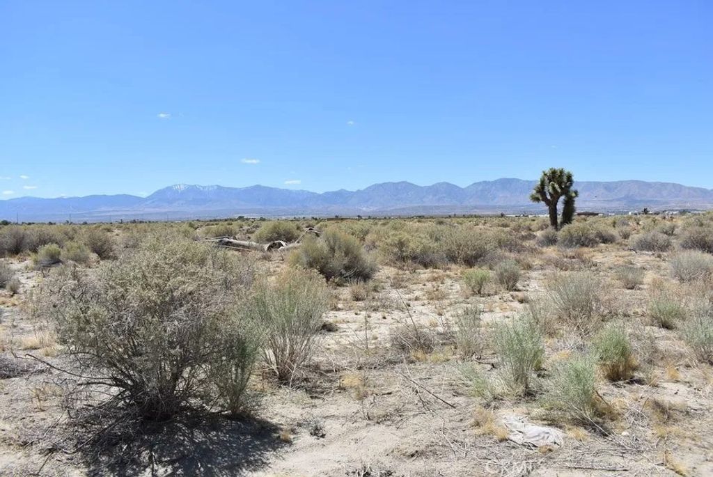 Photo of 14500 Ave R, Littlerock, CA 93543 (MLS # SR25269561)