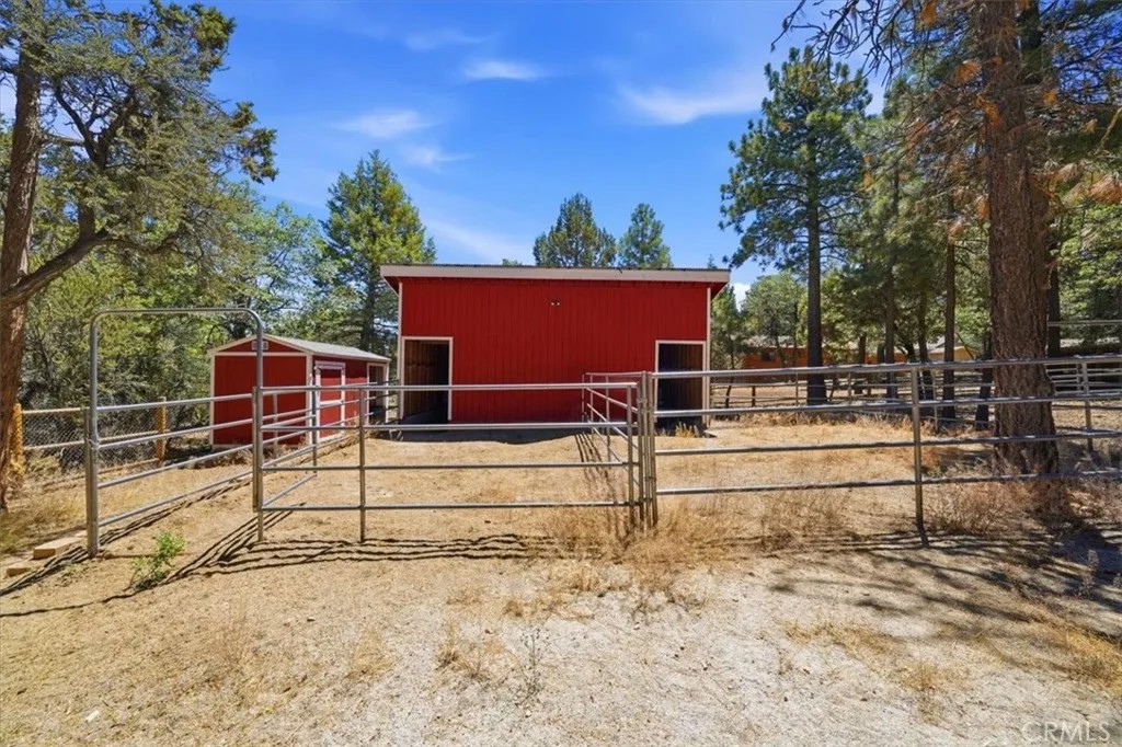 355 Dixie Lee