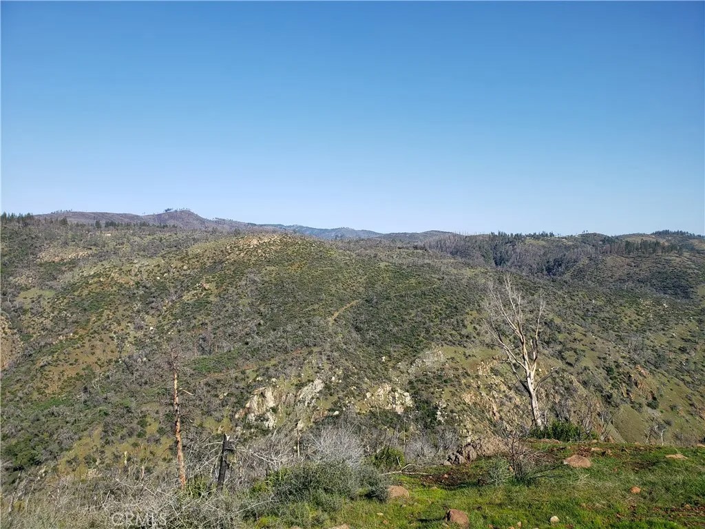 5236 Royal Canyon