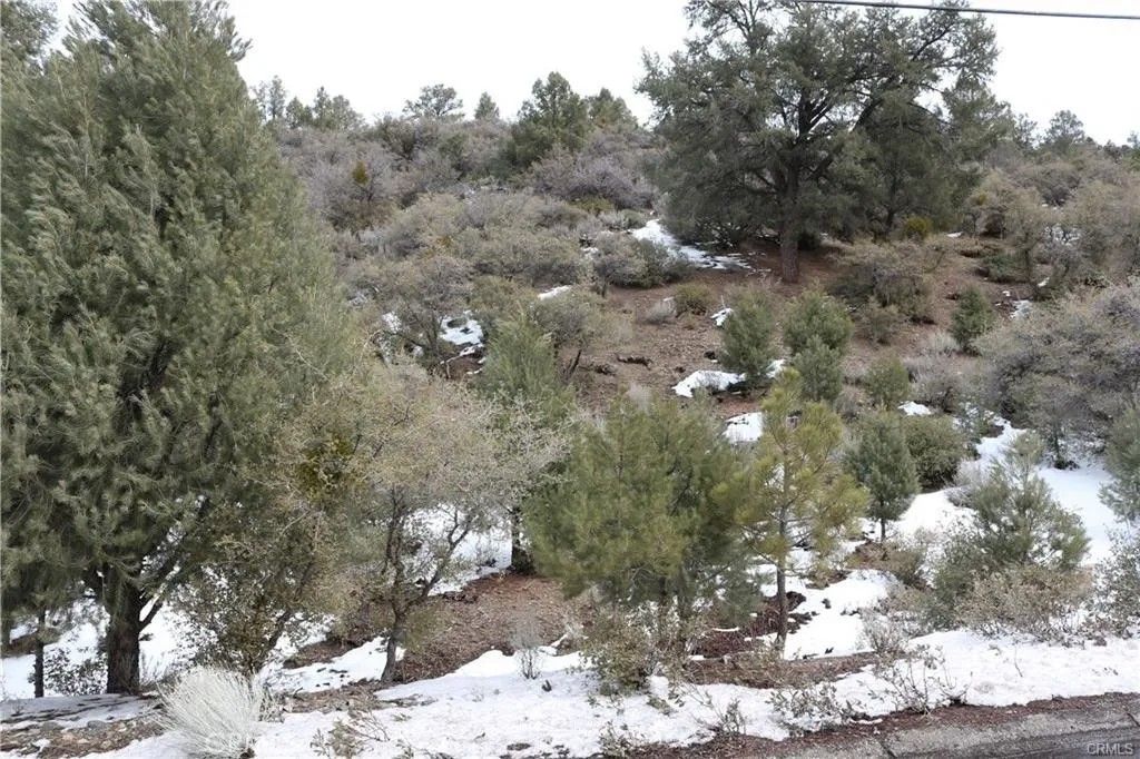 Photo of 2024 Woodland Drive, Pine Mountain Club, CA 93222 (MLS # SR26002178)