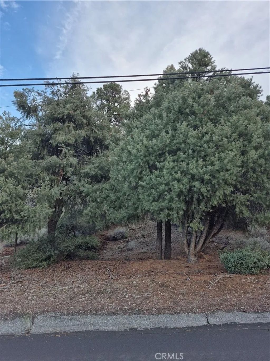 Photo of 2024 Woodland Drive, Pine Mountain Club, CA 93222 (MLS # SR26002178)