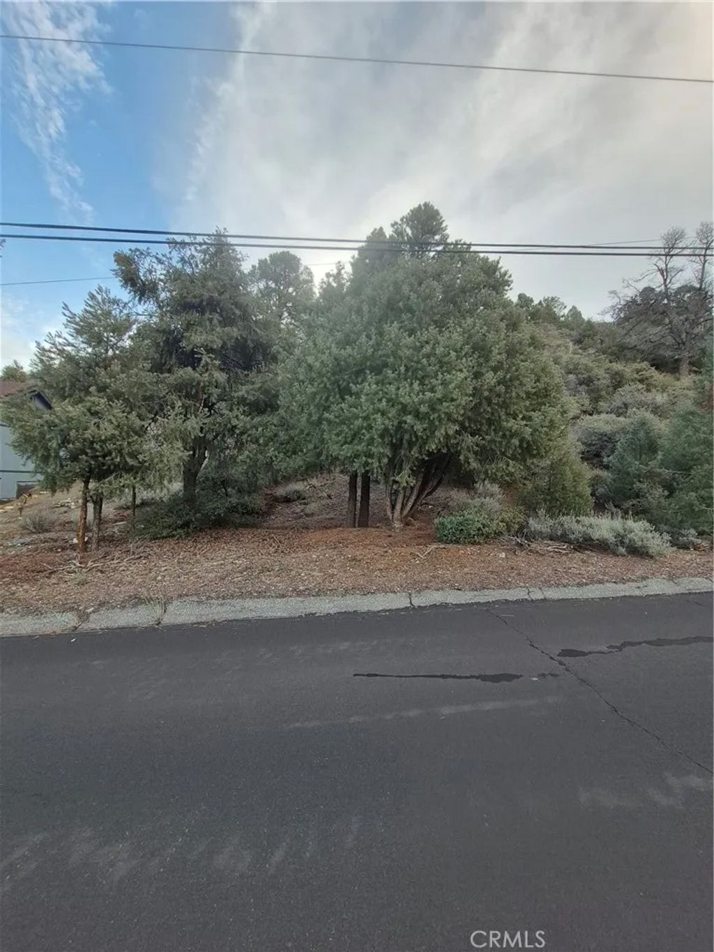 Photo of 2024 Woodland Drive, Pine Mountain Club, CA 93222 (MLS # SR26002178)