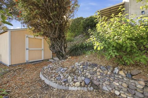 Tiny photo for 7924 El Capitan Dr, La Mesa, CA 91942 (MLS # 250042726)