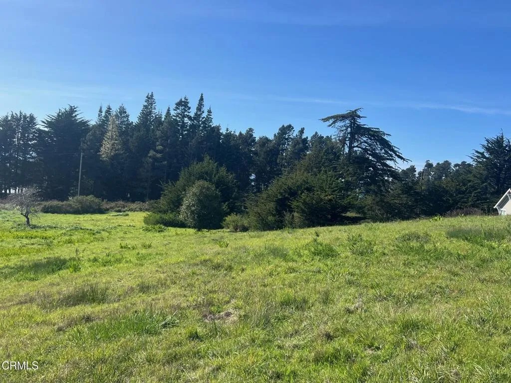 44831 Baywood