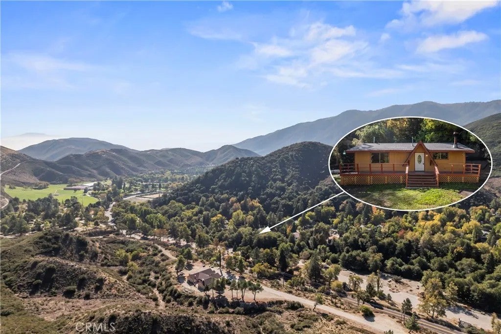 14109 Meadow