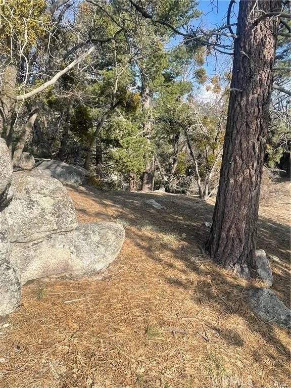 0 Forrest Dr