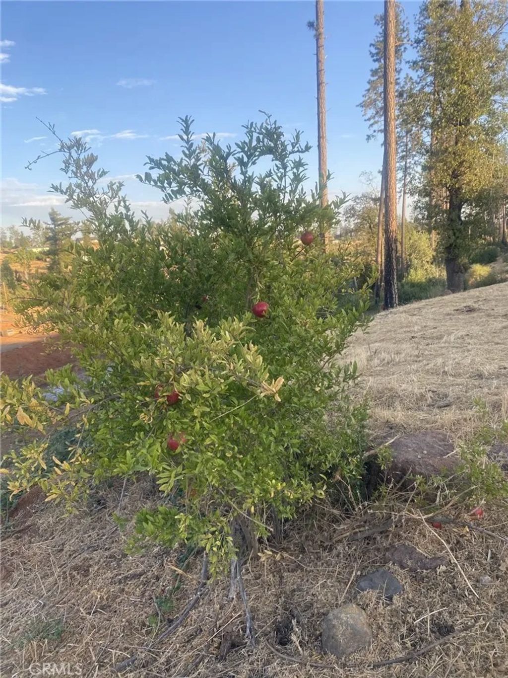 Photo of 5640 Gramercy, Paradise, CA 95969 (MLS # SN26080600)