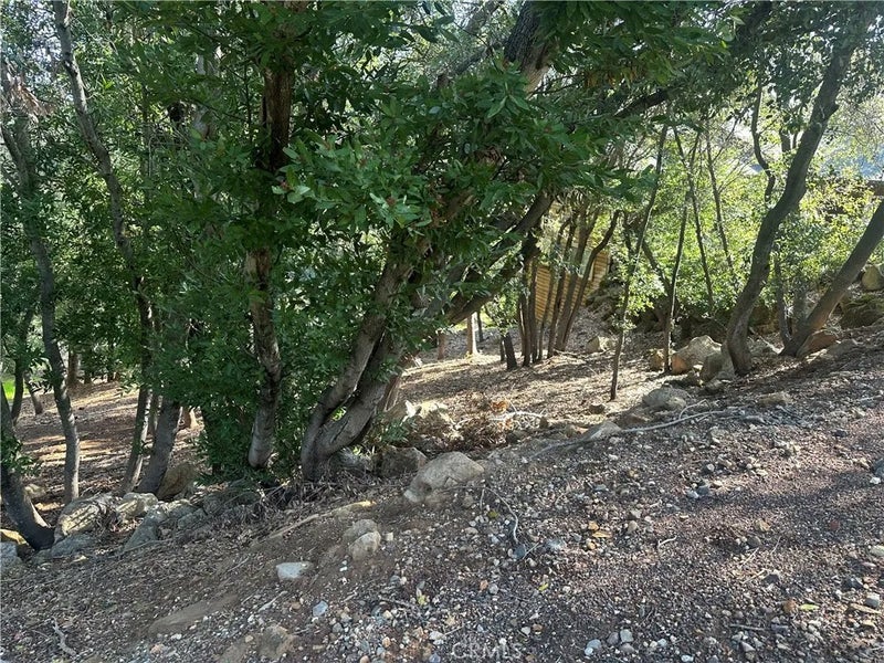 3470 Shoreline View