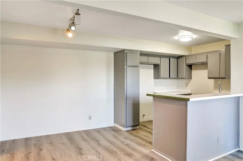 21309 Eucalyptus 203