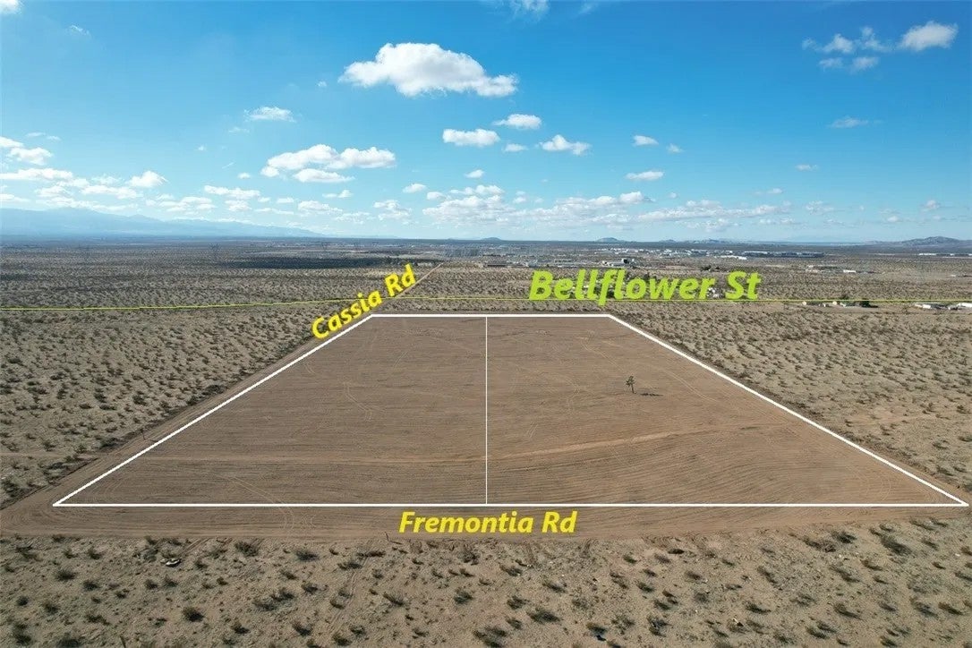 9 Bellflower