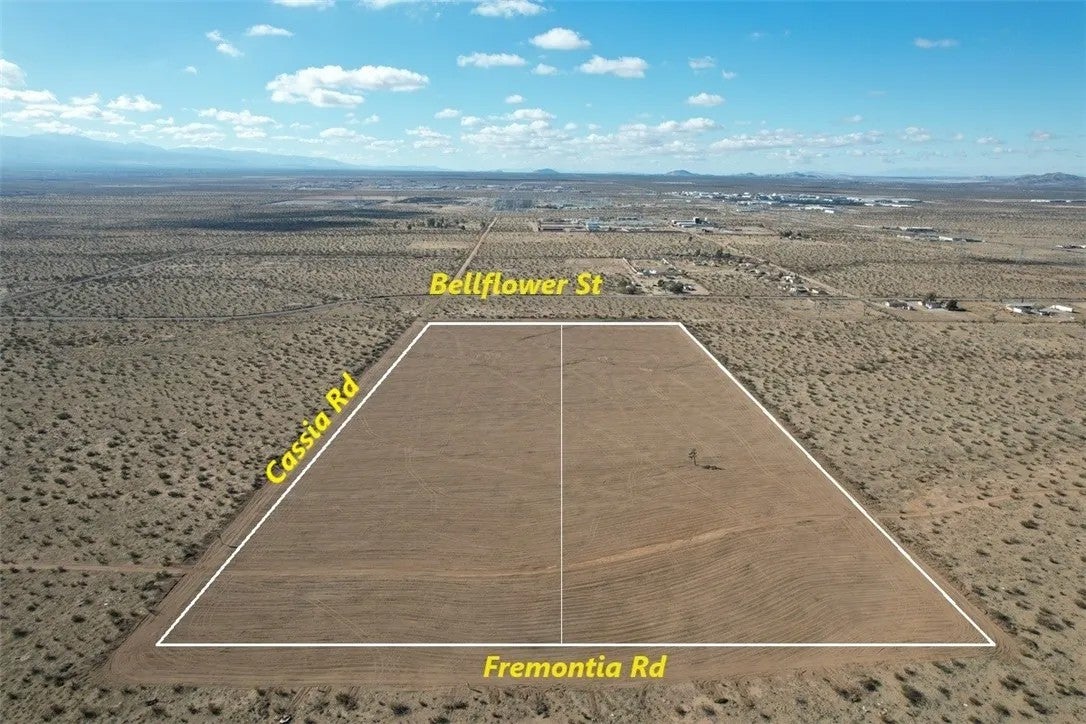 9 Bellflower