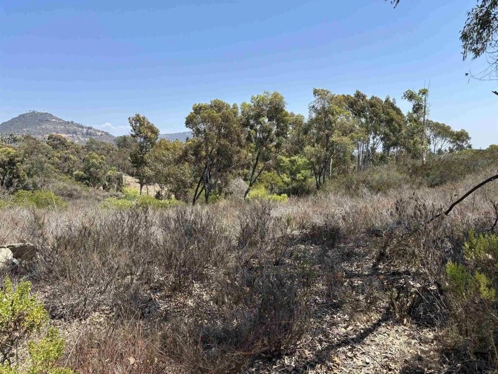 Photo of 0 Lone Hill, Encinitas, CA 92024 (MLS # NDP2507409)