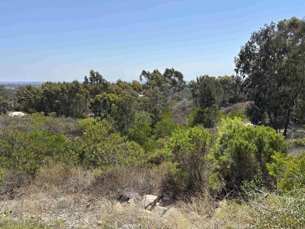 Photo of 0 Lone Hill, Encinitas, CA 92024 (MLS # NDP2507409)