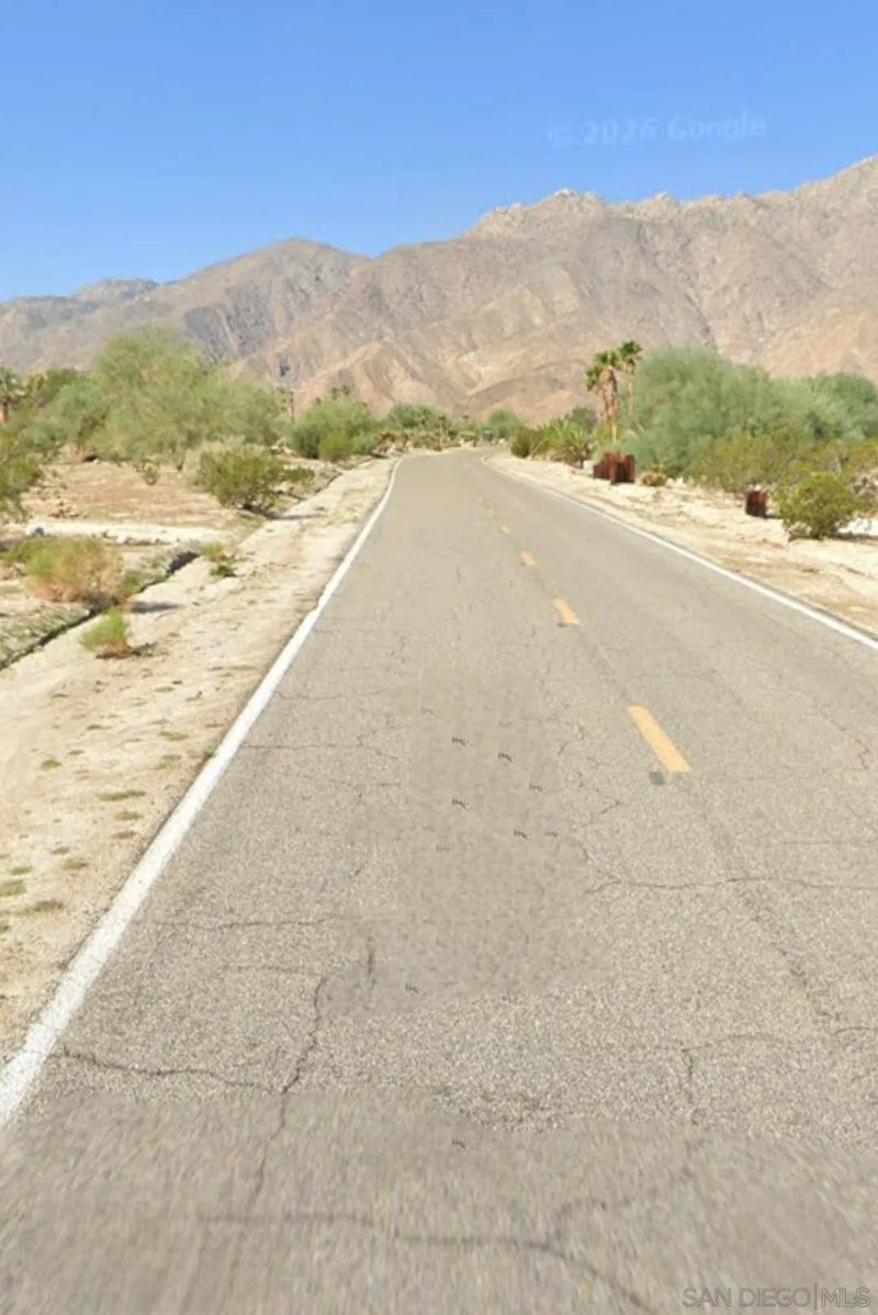 Verbena Drive 100