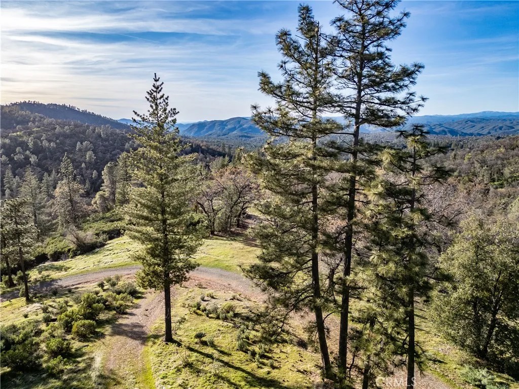 5314 Wilderness View