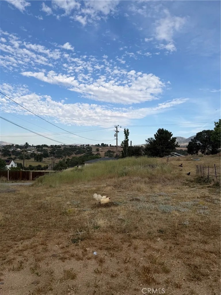 22117 Mccarthy