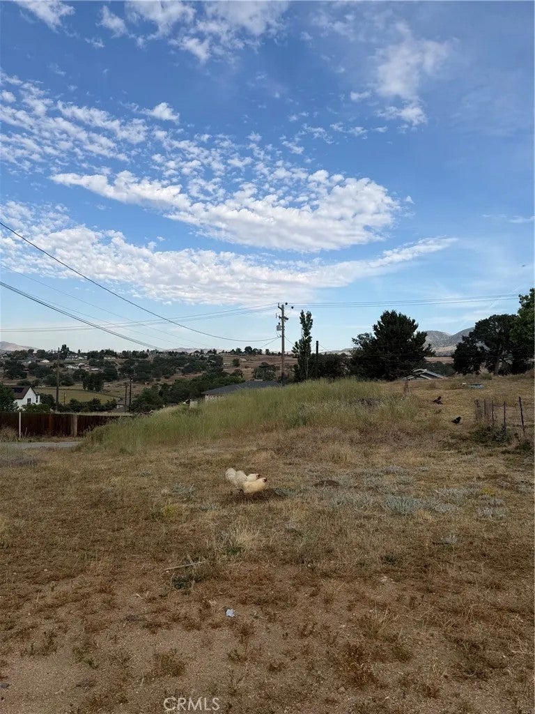 22117 Mccarthy